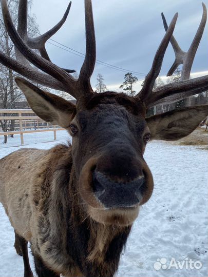 8.10 гора Большая Калагаза/ Артезианский фонтан