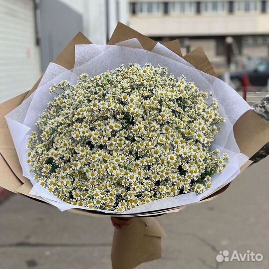 Букеты ромашек