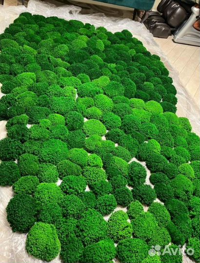 Свежий стабилизированный мох от производителя