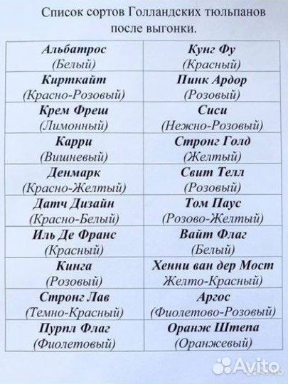 Луковицы тюльпан Голландия (после выгонки)