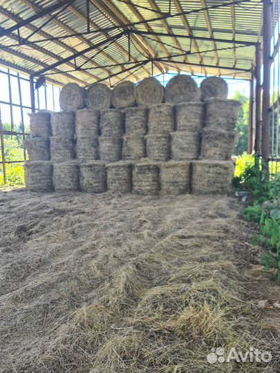 Сено в рулонах