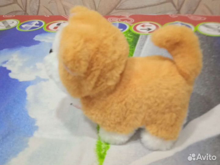 Собака мягкая