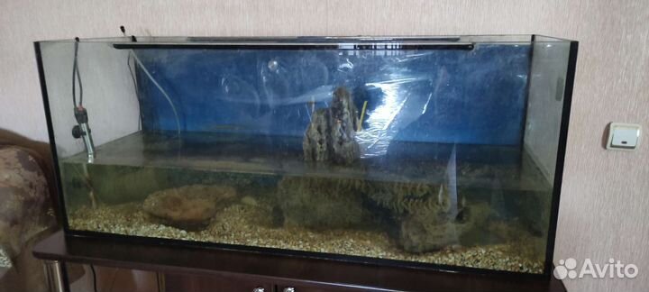 Аквариум с рыбами