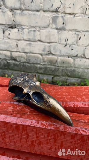 Ворон символ мудрости