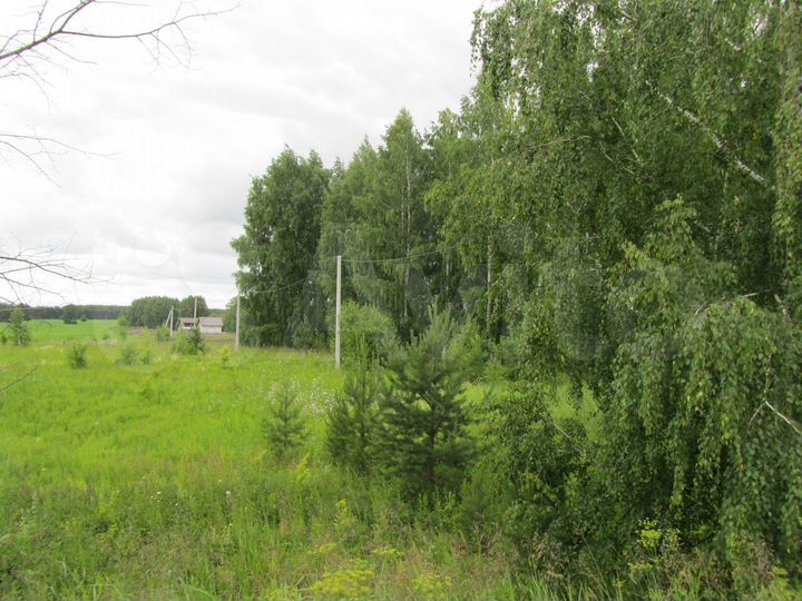 Участок 16 сот. (СНТ, ДНП)