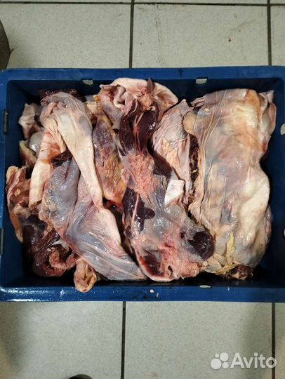 Корм для собак. Мясной фарш для собак. Доставка