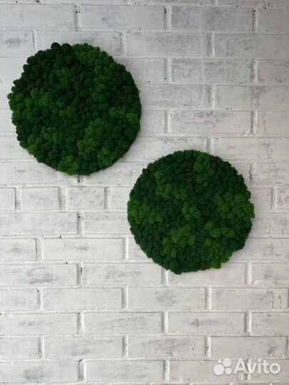 Панели из стабилизированного мха