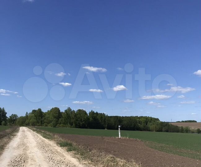 Участок 6 сот. (СНТ, ДНП)