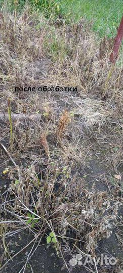 Гербицид грейдер