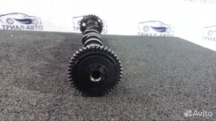 Распредвал BUG Audi Q7, Ауди Ку7