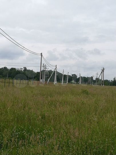 Участок 10 сот. (ИЖС)