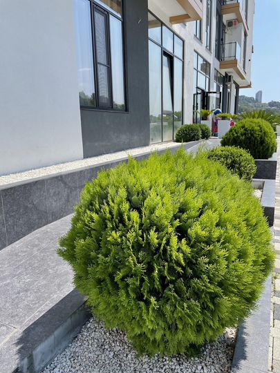 3-к. квартира, 85 м², 4/4 эт.