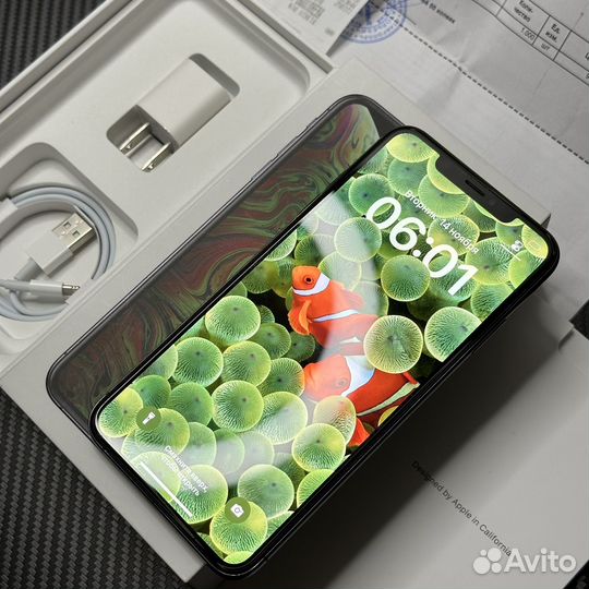 iPhone Xs Max, 512 ГБ