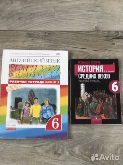 Рабочие тетради 6 класс