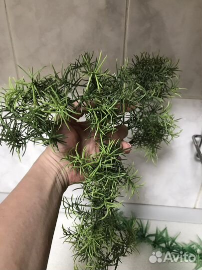 Все для аквариума