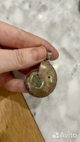 Аммонит подвеска