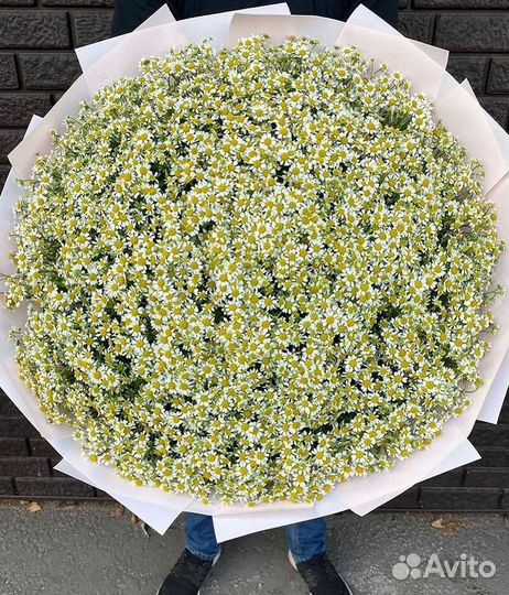 Цветы ромашки. Букеты ромашек. Цветы доставка