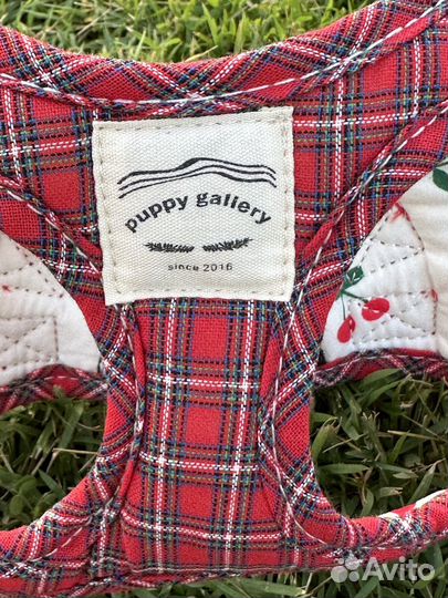 Новая шлейка для собаки Puppy Gallery