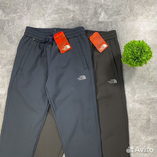 Штаны брюки The North Face gore-tex (s-2xl)