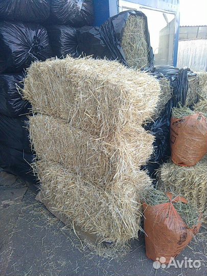 Сено,солома Покос 2023, 3-й квартал