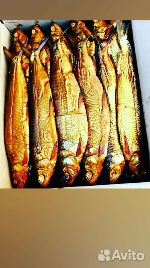 Рыба