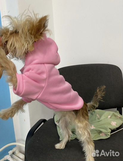 Товары для кошек и собак