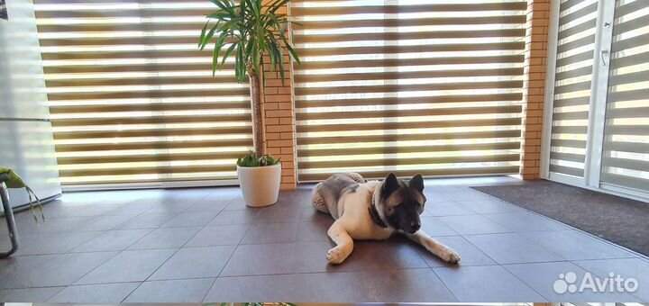 Рулонные шторы блэкаут, день-ночь, плиссе Балашиха