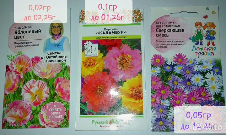 Семена Цветов,семена кактуса