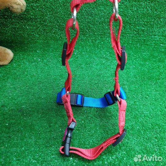 Шлейка для собаки