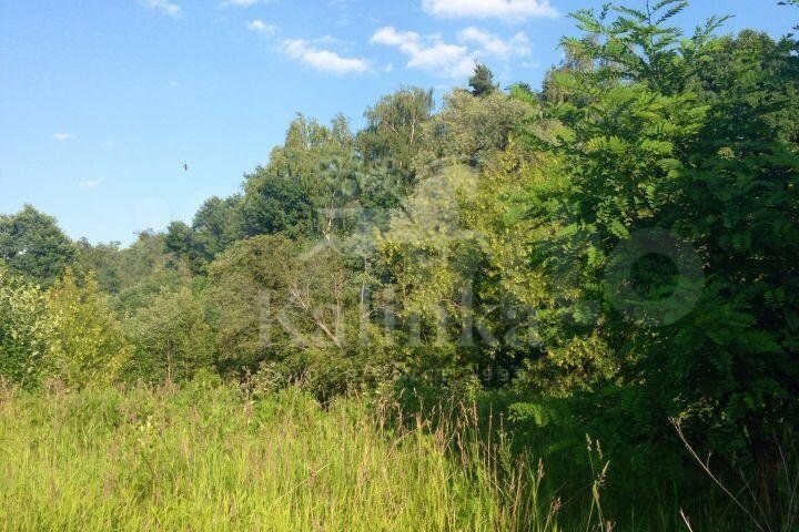 Участок 30 сот. (ИЖС)