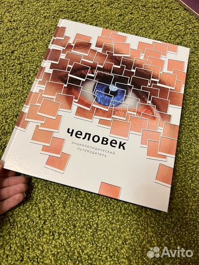 Новые книги и атласы по анатомии человека