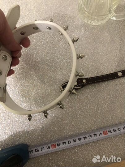 Ошейник для собак