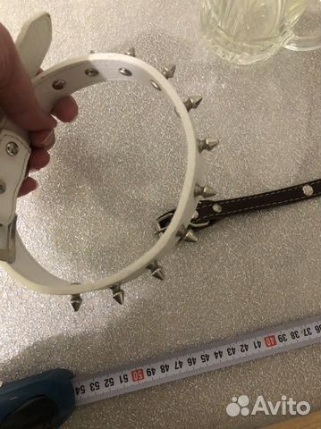 Ошейник для собак