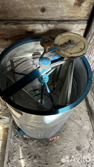 Пчелы пасека