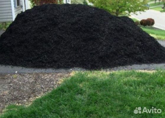 Чернозем (черная земля)