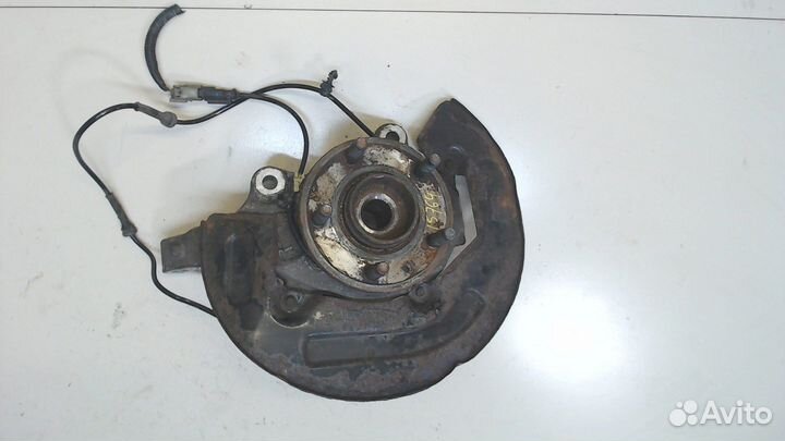 Ступица (кулак, цапфа) Ford Explorer, 2013