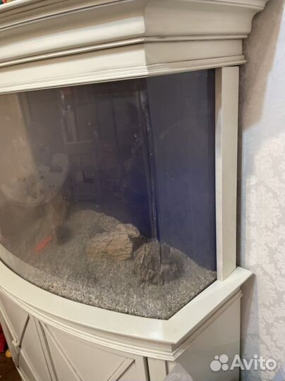 Панорамный Аквариум с тумбой 330л б/у Adp классика