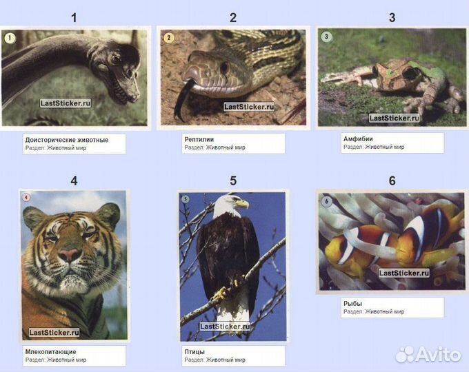 Наклейки панини мир живого