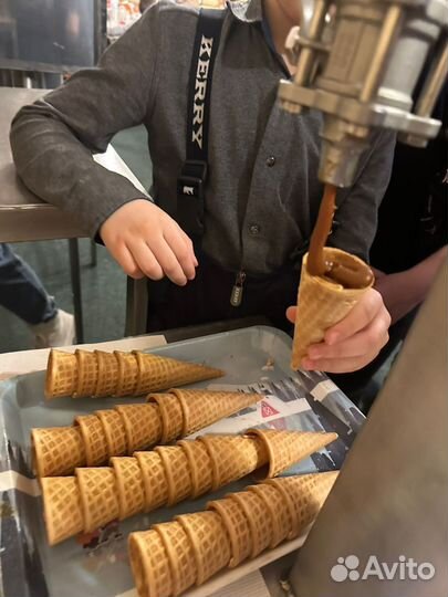 Экскурсия на производство Б.Ю. Александров