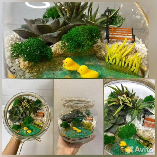 Композиции из комнатных растений