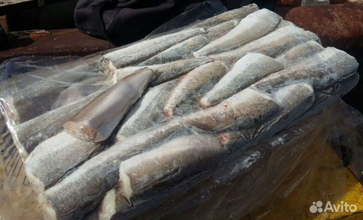 Хек тушка 600-900 Аргентина свежемороженый 15кг