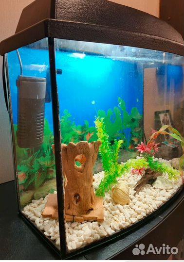 Аквариум 30 литров
