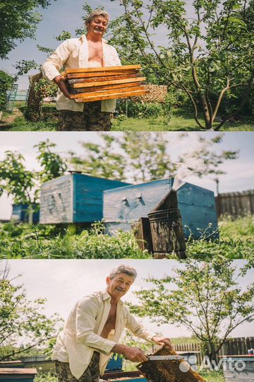 Видеооператор