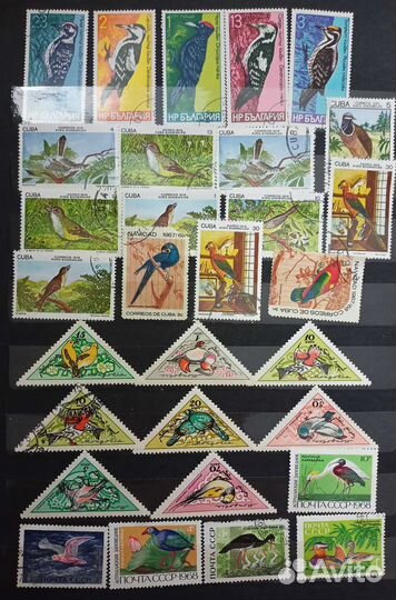 Почтовые марки птицы