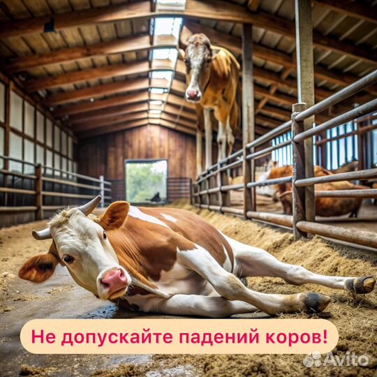 Нарезка бетонных полов (штроб) в коровниках