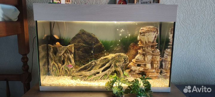 Аквариум 150 литров