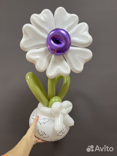 Воздушные шары игрушка