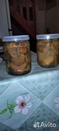 Рыжики соленые