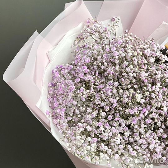 Букет из сиреневой гипсофилы