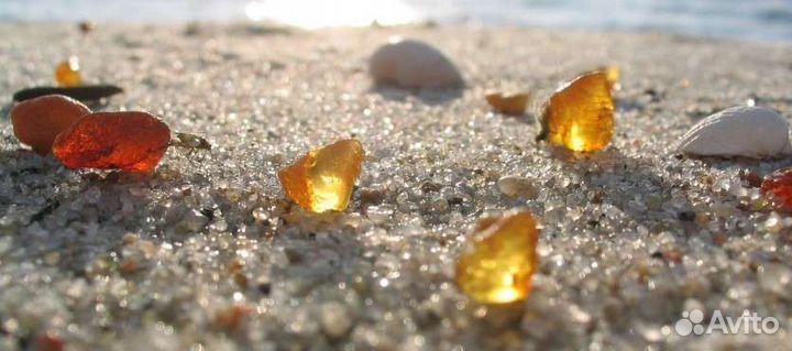 Куршская коса экскурсия, Зеленоградск, Светлогорск